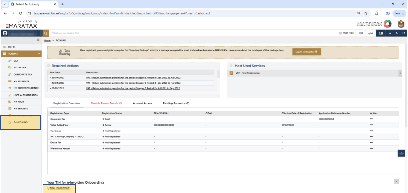 Entity dashboard with the E-Invoicing menu and the TIN link highlighted